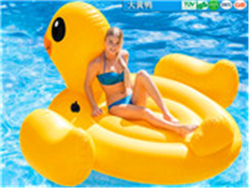 洪湖水上浮具